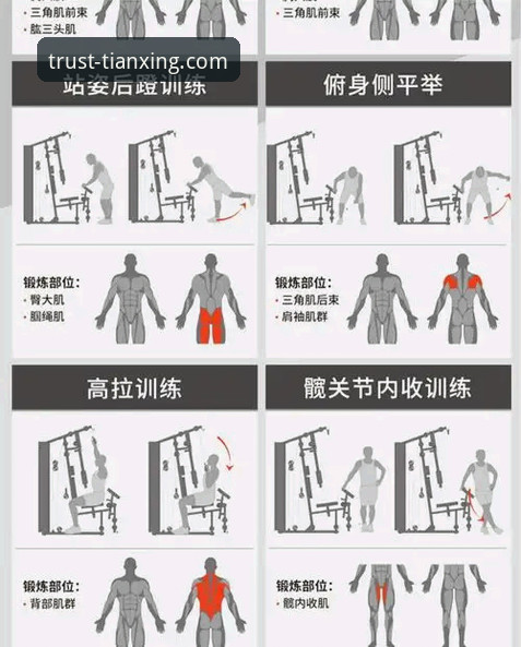 天行体育平台核心功能与下载安装使用技巧全面解析